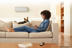 a woman sitting in a coucg browsing a tablet with a dog on top. and at the beackground a mini split ac